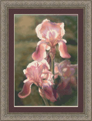 Sunlit Irises - Kustom Krafts