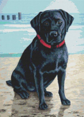 On The Beach - White Willow Stitching