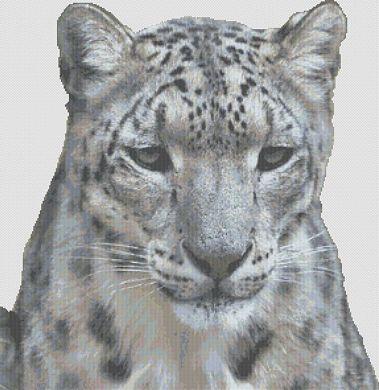 Snow Leopard - White Willow Stitching