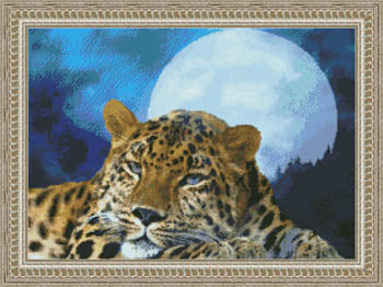 Leopard Moon - Kustom Krafts
