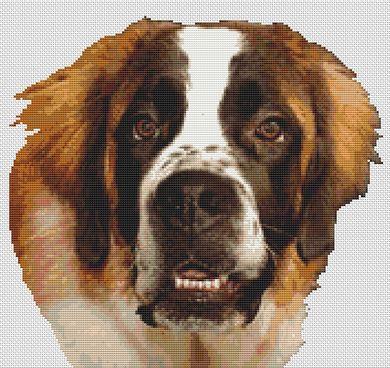 Saint Bernard II - White Willow Stitching