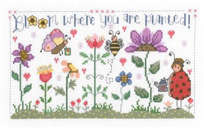 Bloom By Gail Bussi - Imaginating