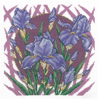 Spring Iris By Joan A. Elliot - Imaginating