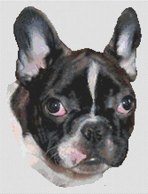 French Bulldog Puppy - White Willow Stitching