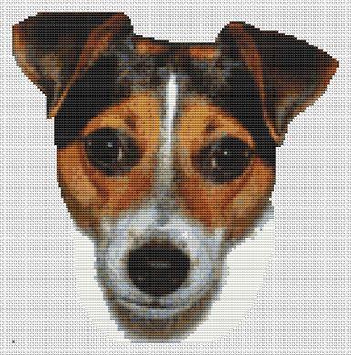 Tri-Color Jack Russell Terrier - White Willow Stitching