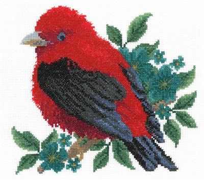 Scarlet Tanager By Claire Harkness - Imaginating