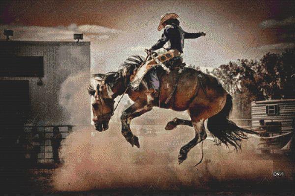 The Bronc - White Willow Stitching