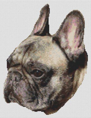Brindle French Bulldog - White Willow Stitching