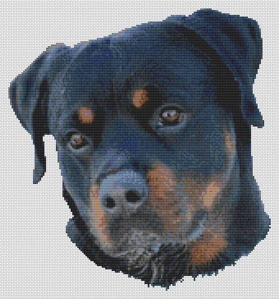 Rottweiler Serenity - White Willow Stitching