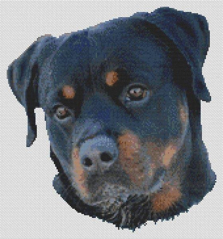 Rottweiler Serenity - White Willow Stitching
