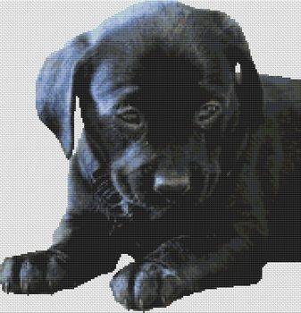 Black Lab Puppy 2 - White Willow Stitching