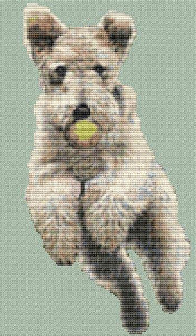 When Dogs Fly - White Willow Stitching