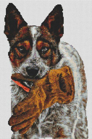 Frankie The Australian Cattle Dog - White Willow Stitching