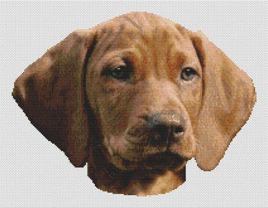 Vizsla Puppy - White Willow Stitching