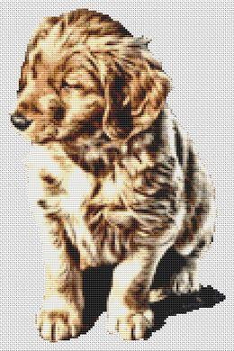 Golden Retriever Puppy - White Willow Stitching