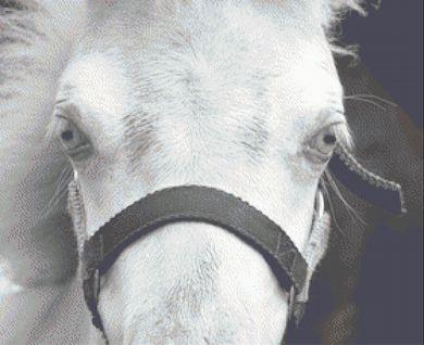 The Look - White Willow Stitching
