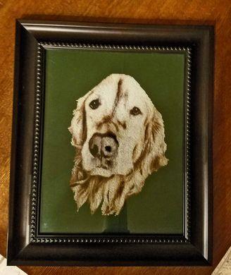 Jake: Golden Retriever - White Willow Stitching