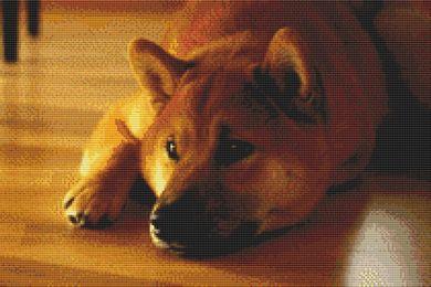 Shiba Inu: Peaceful - White Willow Stitching