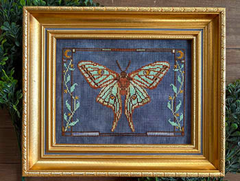 Spanish Moon Moth - Petal Pusher