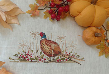 Fagiano: Pheasant - Serenita Di Campagna