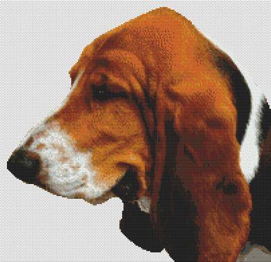 Tri-Colored Basset Hound - White Willow Stitching