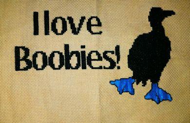 Love Boobies - White Willow Stitching