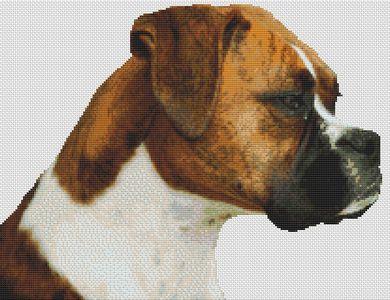 Pete: Boxer - White Willow Stitching