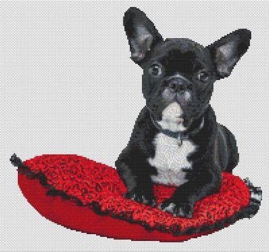 Spoiled: French Bulldog - White Willow Stitching