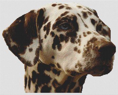 Liver Dalmatian - White Willow Stitching