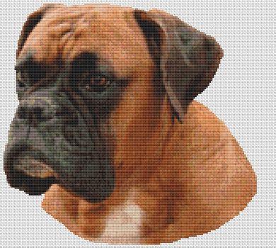 Boxer: Sally - White Willow Stitching