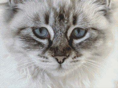 Soft Grey: Cat - White Willow Stitching