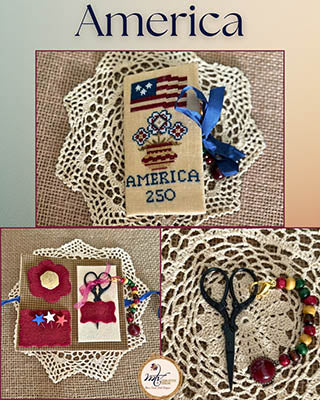 America Needle Case - MTV Designs