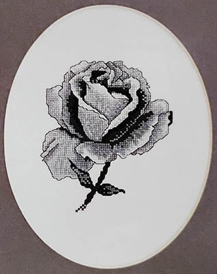 Black Rose - Xs and Ohs