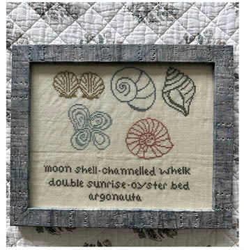 Sampler of Shells - Sampler Sensibility