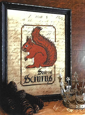 Squirrel - Primitive Hare