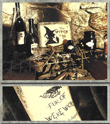 The Witch Is In - Primitive Hare