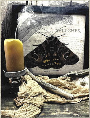 Moth Of Mother Shipton - Primitive Hare