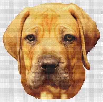 Boerboel - White Willow Stitching