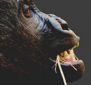 Gorilla - White Willow Stitching