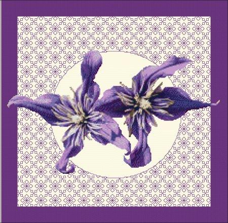 Clematis In Bloom - DoodleCraft Design Ltd