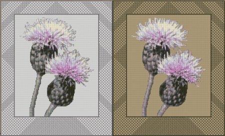 Thistles In Bloom - DoodleCraft Design Ltd