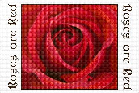 Red Rose Panel - DoodleCraft Design Ltd