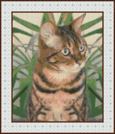 Bengal Cat - DoodleCraft Design Ltd