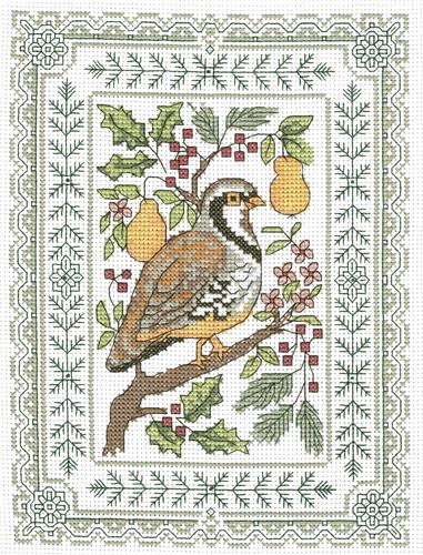 Perched Partridge By Diane Arthurs - Imaginating