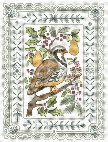 Perched Partridge By Diane Arthurs - Imaginating