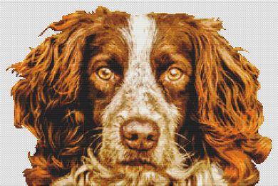 Springer Spaniel: Liver - White Willow Stitching