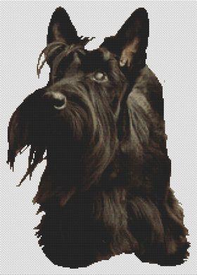 Scottish Terrier Adoration - White Willow Stitching