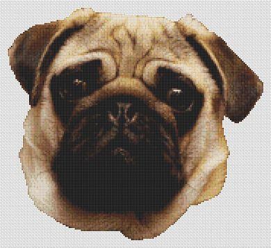 Sweet Pug - White Willow Stitching