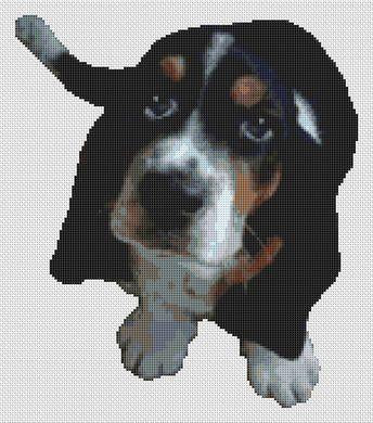Basset Hound Puppy - White Willow Stitching
