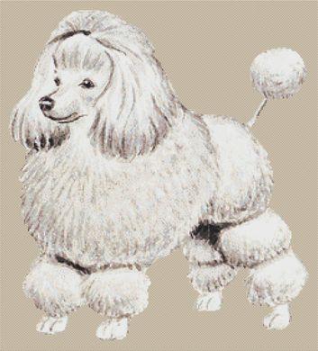 Poodle - White Willow Stitching